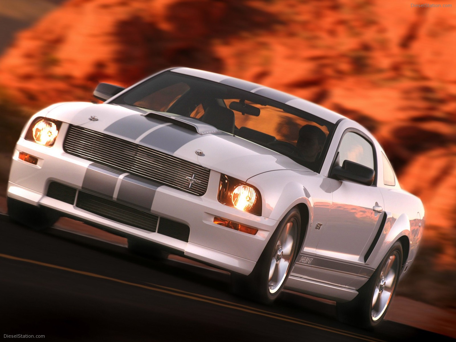 Ford Shelby GT